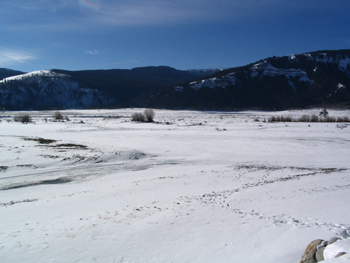 Confluence of the Lamar River and the Soda Butte Creek - 29 January 2007 by John W. Uhler ©