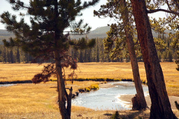 Norris Meadow and Gibbon River at Norris Campground by John William Uhler © Copyright