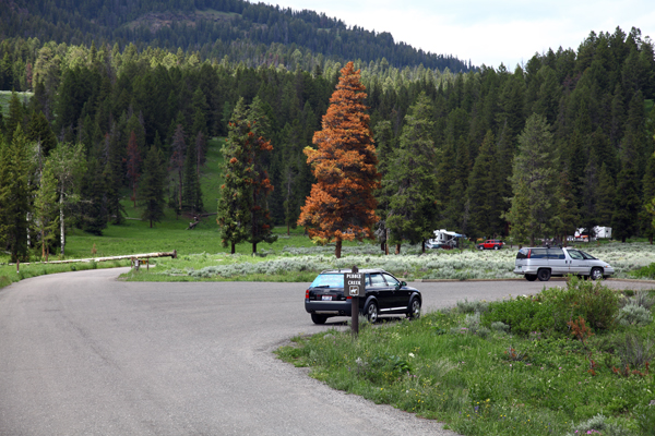 Pebble Creek Campground by John William Uhler © Copyright