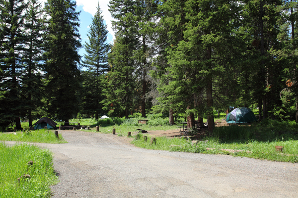Pebble Creek Campground by John William Uhler © Copyright