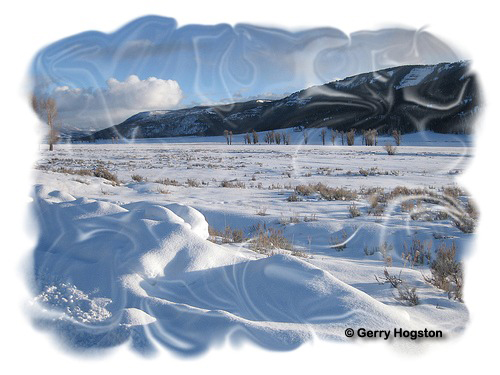 Lamar Valley Yellowstone National Park ~ © Copyright All Rights Reserved Gerry Hogston