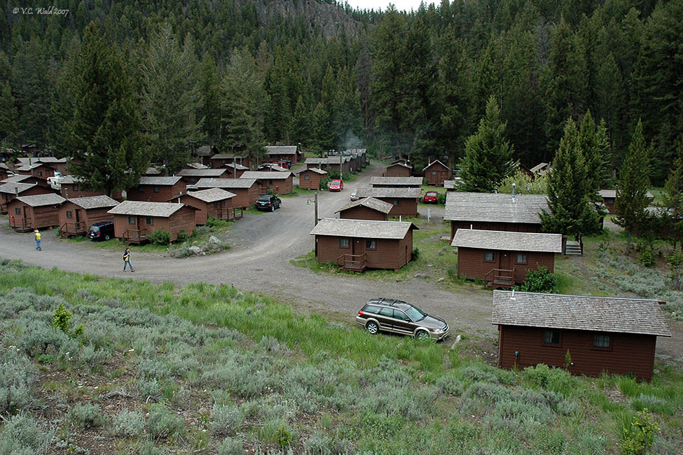 Roosevelt Rustic Cabins in Yellowstone National Park by V.C. Wald © Copyright All Rights Reserved