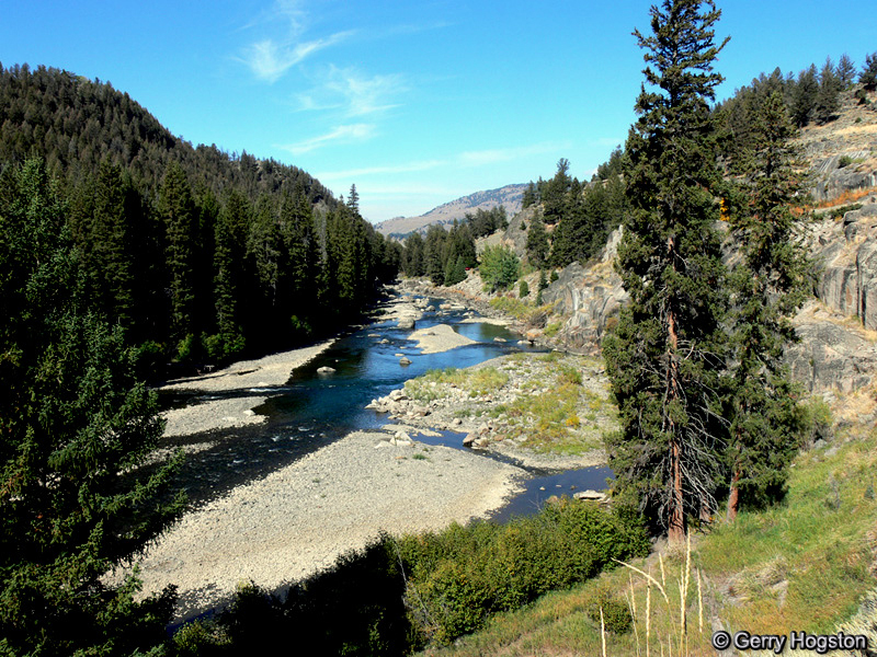 Lamar River - Yellowstone National Park ~ by Gerry Hogston Copyright © All Rights Reserved Lamar River - Yellowstone National Park ~ by Gerry Hogston Copyright © All Rights Reserved