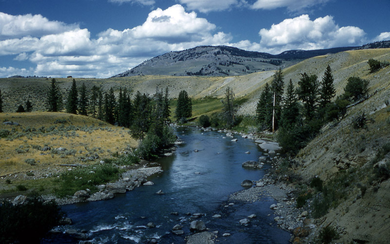 Lamar River - Yellowstone National Park ~ NPS Photo
