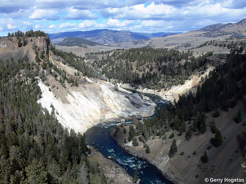 Yellowstone River - Yellowstone National Park ~ Photo by Gerry Hogston © Copyright All Rights Reserved