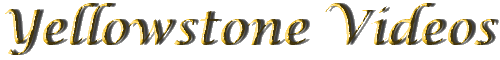 Yellowstone National Park Videos Yellowstone National Park Videos