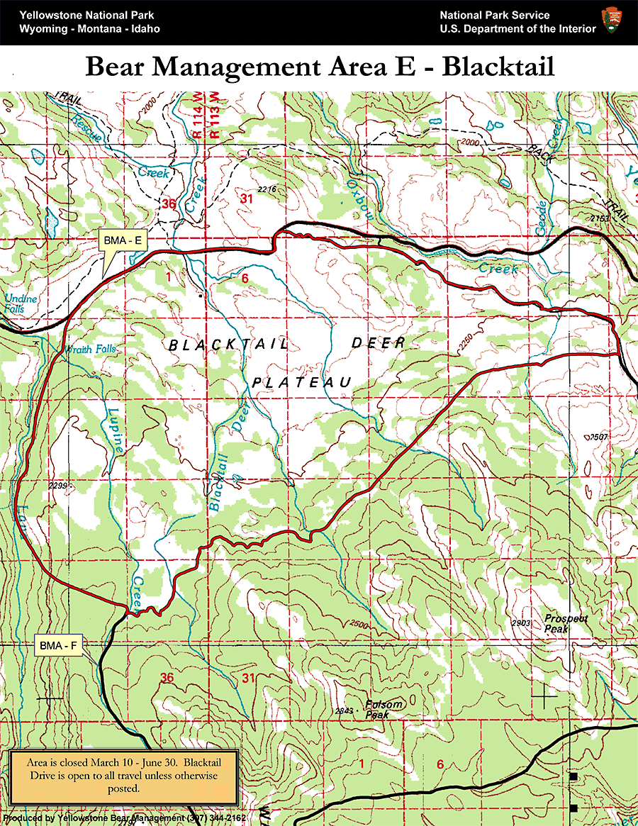 Bear Management Area E Blacktail Map Yellowstone National Park - NPS Image