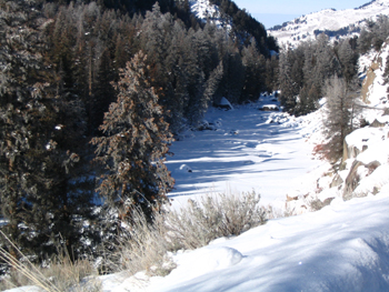 Frozen Lamar River at the top of the Narrows - 29 Jan 2007 by John W. Uhler © Copyright - All Rights Reserved