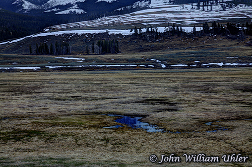 Lamar Valley taken Spring 2019 ~ © Copyright All Rights Reserved John William Uhler