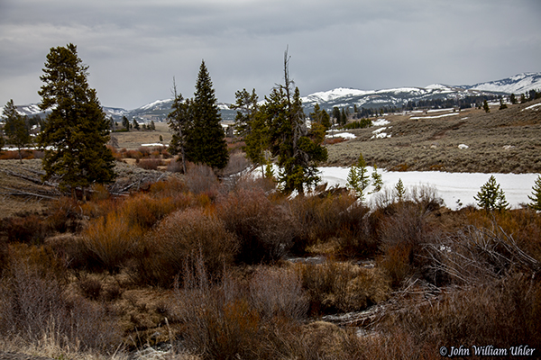 Spring in Yellowstone taken Spring 2019 in Yellowstone © Copyright All Rights Reserved John William Uhler