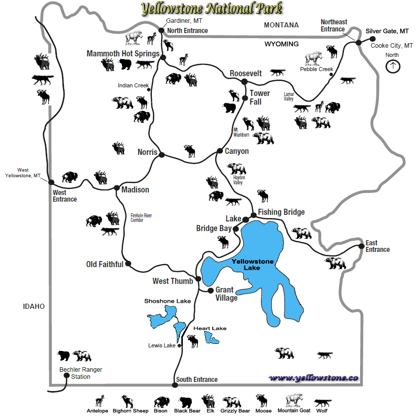 Yellowstone National Park Map The Best Maps Of Yellowstone Yellowstone National Park Map The Best Maps Of Yellowstone