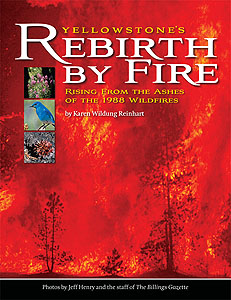 Yellowstone's Rebirth by Fire by Karen Reinhart