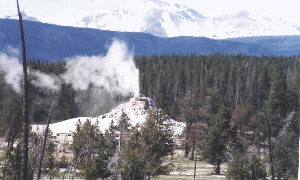 White Dome Geyser - by John W. Uhler - June 1997