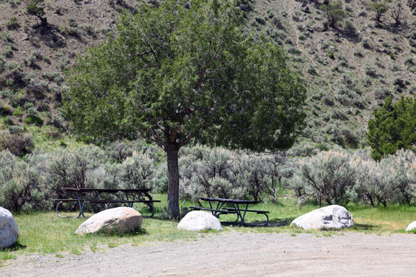 Gardner River Picnic Area by John William Uhler © Copyright