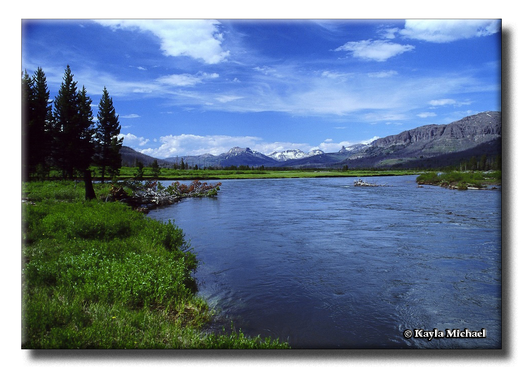 Confluence of the Yellowstone River and the Thorofare Creek by Kayla Michael © Copyright All Rights Reserved