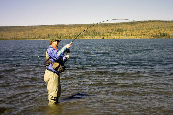 Beula Lake Fish On in Yellowstone National Park by Bill Brown © Copyright All Rights Reserved