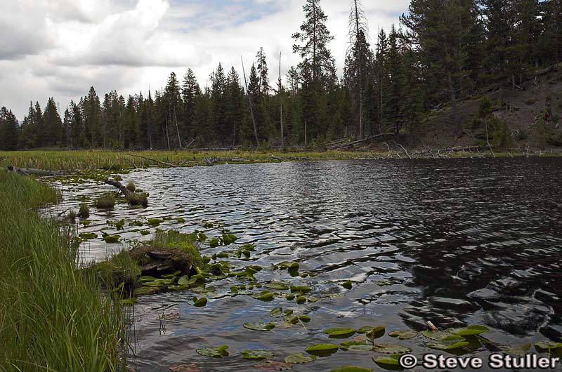 Lost Lake - Yellowstone National Park ~ Photo by Steve Stuller © Copyright All Rights Reserved
