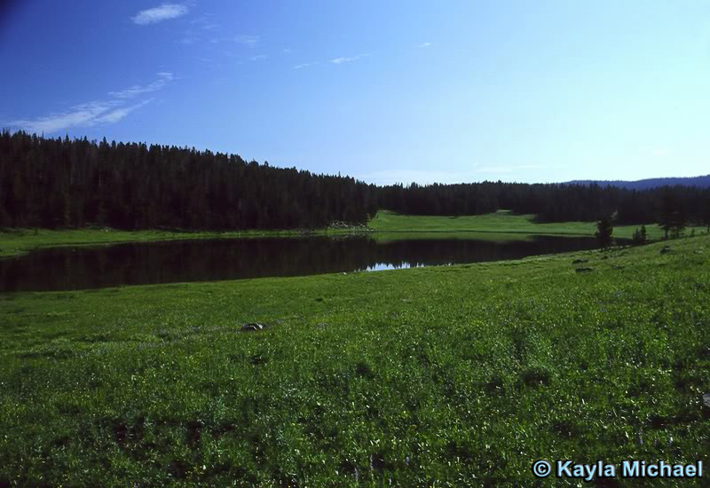Mariposa Lake - Yellowstone National Park ~ Photo by Kayla Michael © Copyright All Rights Reserved