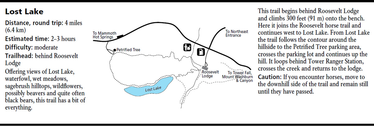 Lost Lake Map - Yellowstone National Park ~ NPS Map