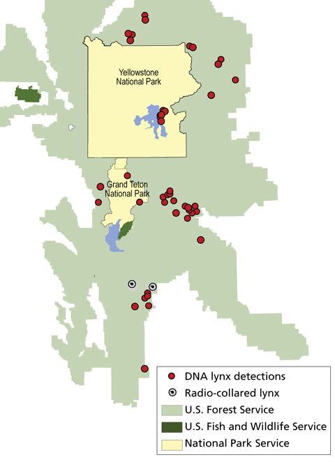 Lynx Map NPS Image