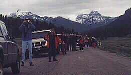 Mark Schwartz Wildlife Observer and Storyteller by John W. Uhler &copy;