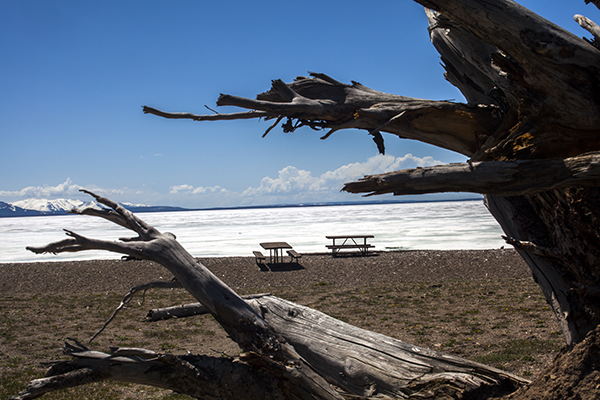 Sedge Bay Picnic Area by John William Uhler © Copyright