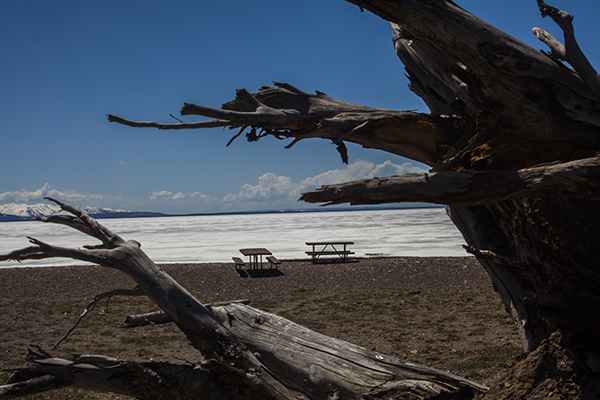 Sedge Bay Picnic Area by John William Uhler © Copyright