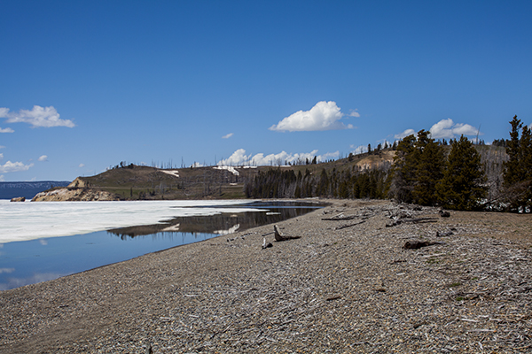 Sedge Bay Picnic Area by John William Uhler © Copyright