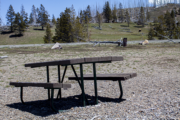 Sedge Bay Picnic Area by John William Uhler © Copyright