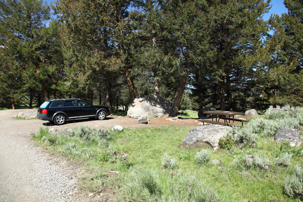 Yellowstone Picnic Area by John William Uhler © Copyright