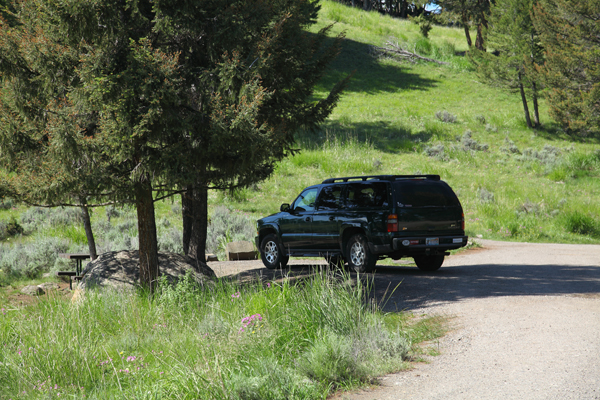 Yellowstone Picnic Area by John William Uhler © Copyright