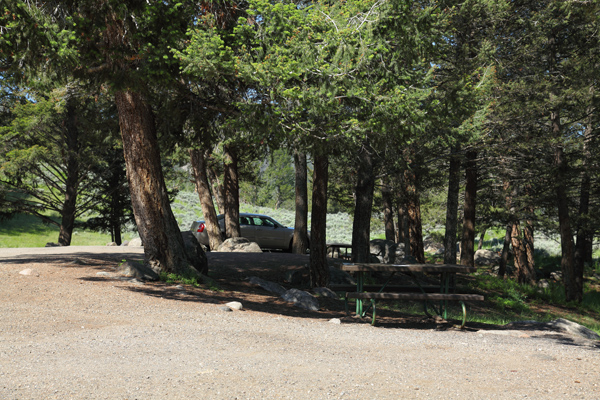 Yellowstone Picnic Area by John William Uhler © Copyright