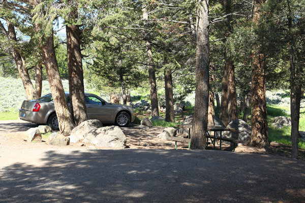 Yellowstone Picnic Area by John William Uhler © Copyright