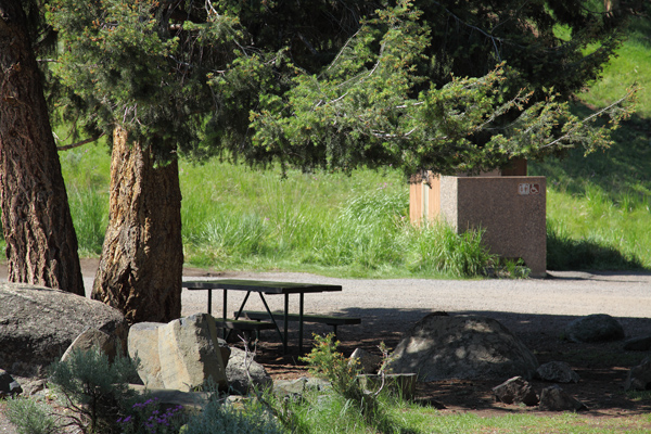 Yellowstone Picnic Area by John William Uhler © Copyright