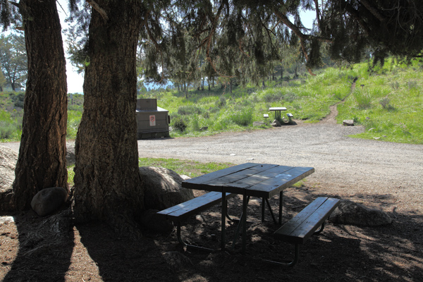 Yellowstone Picnic Area by John William Uhler © Copyright