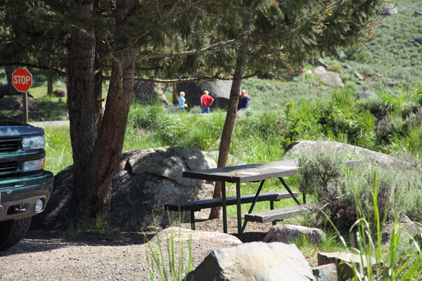 Yellowstone Picnic Area by John William Uhler © Copyright