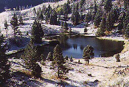 Pond Above Mammoth by John W. Uhler - 11 October 1998 &copy;