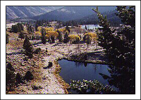 Ponds Above Mammoth by John W. Uhler - 11 October 1998 ©