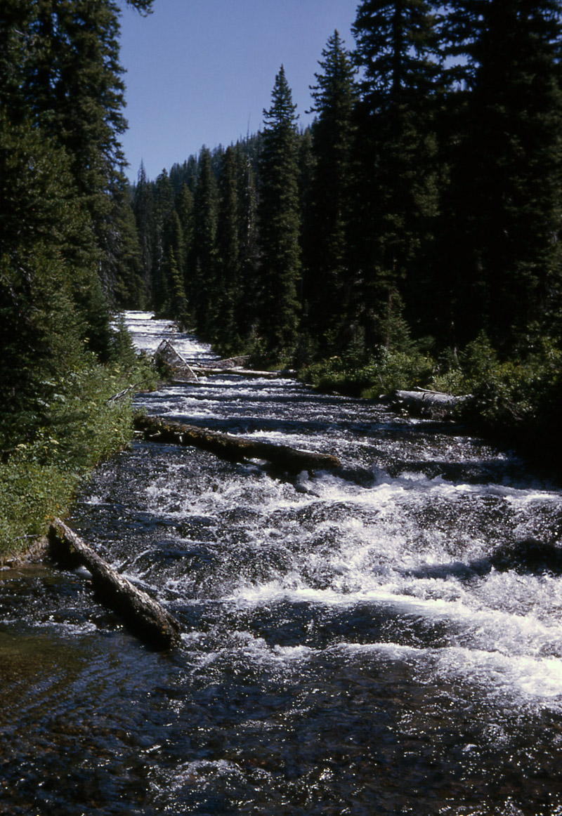Bechler River - Yellowstone National Park ~ NPS Photo
