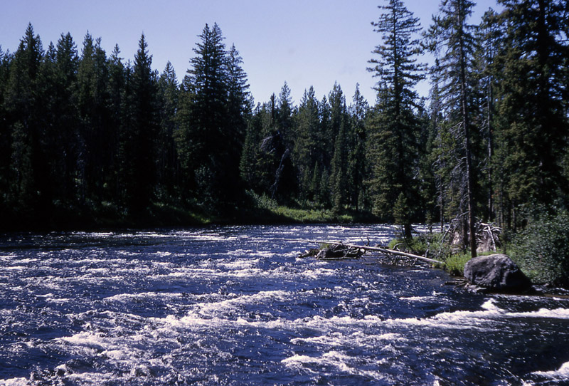 Bechler River - Yellowstone National Park ~ by RG Johnsson NPS Photo