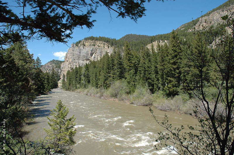 Gallatin River - Yellowstone National Park ~ Photo by V.C. Wald © Copyright All Rights Reserved