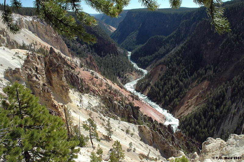 Yellowstone River - Yellowstone National Park ~ Photo by V.C. Wald © Copyright All Rights Reserved