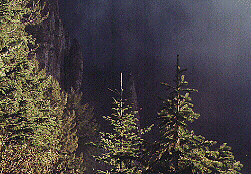 Sunlight, Trees and Mist by John W. Uhler &copy;