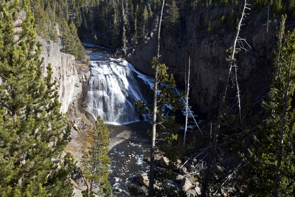 Gibbon Falls - Yellowstone National Park - by John William Uhler © Page Makers, LLC
