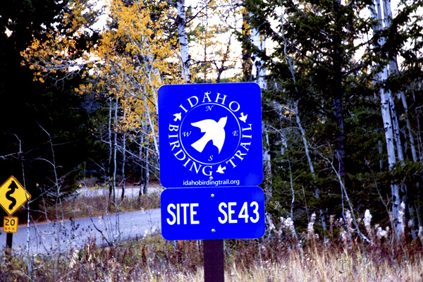 Idaho Birding Trail Sign by John William Uhler © Copyright