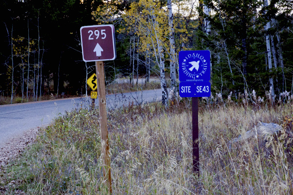 Upper Falls Route and Idaho Birding Trail Signs by John William Uhler © Copyright