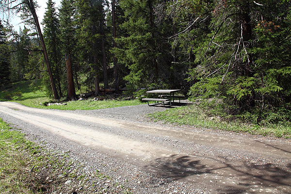 Warm Creek Picnic Area by John William Uhler © Copyright