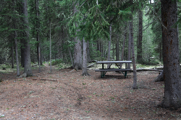 Warm Creek Picnic Area by John William Uhler © Copyright