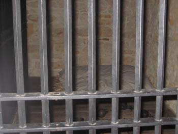 Carthage Jail Cell - Carthage, Illinois ~ © Page Makers, LLC