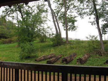 Logs by the Sawmill